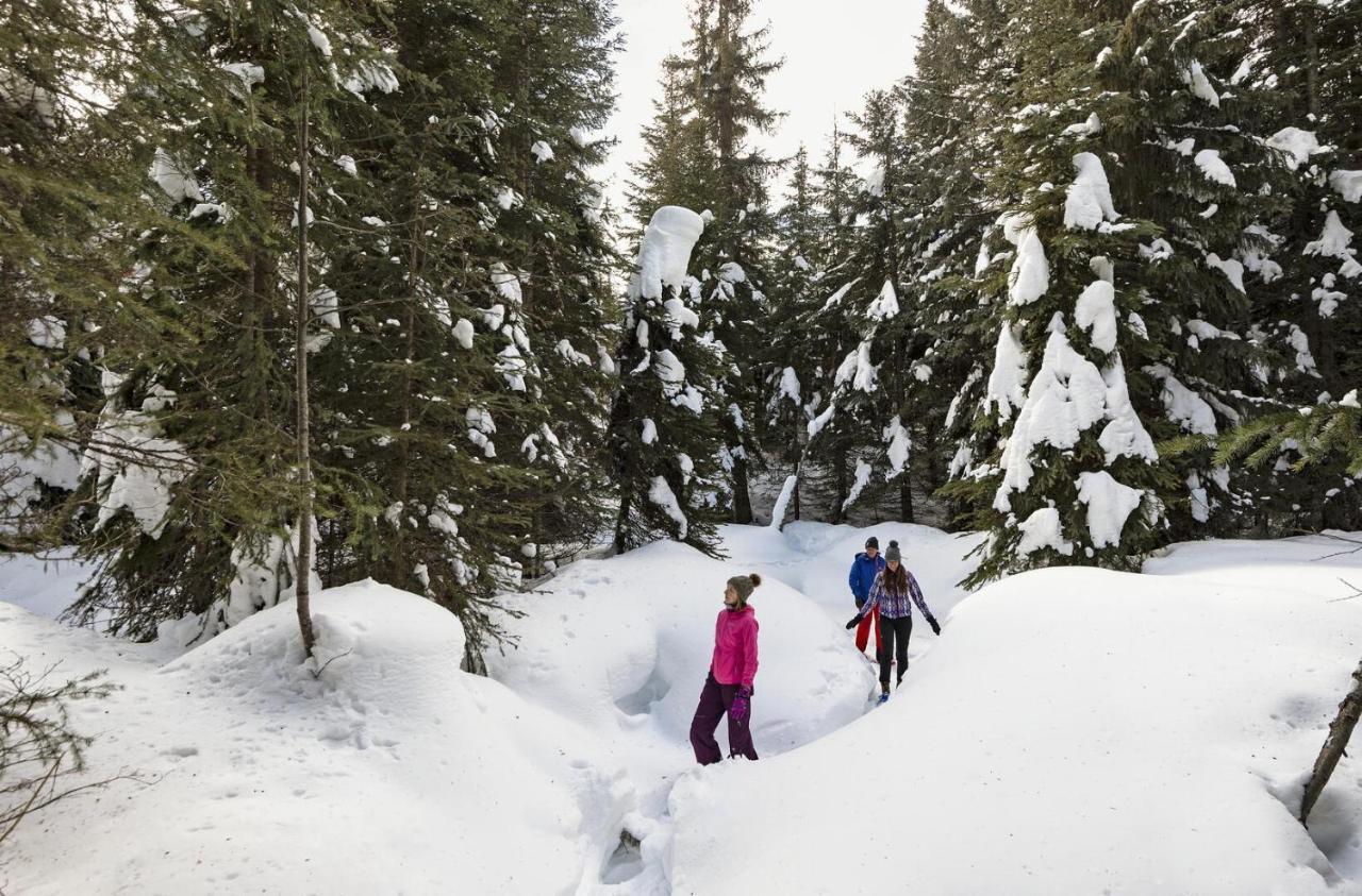 Echo Landing #12 By Bear Country Villa Sun Peaks Buitenkant foto